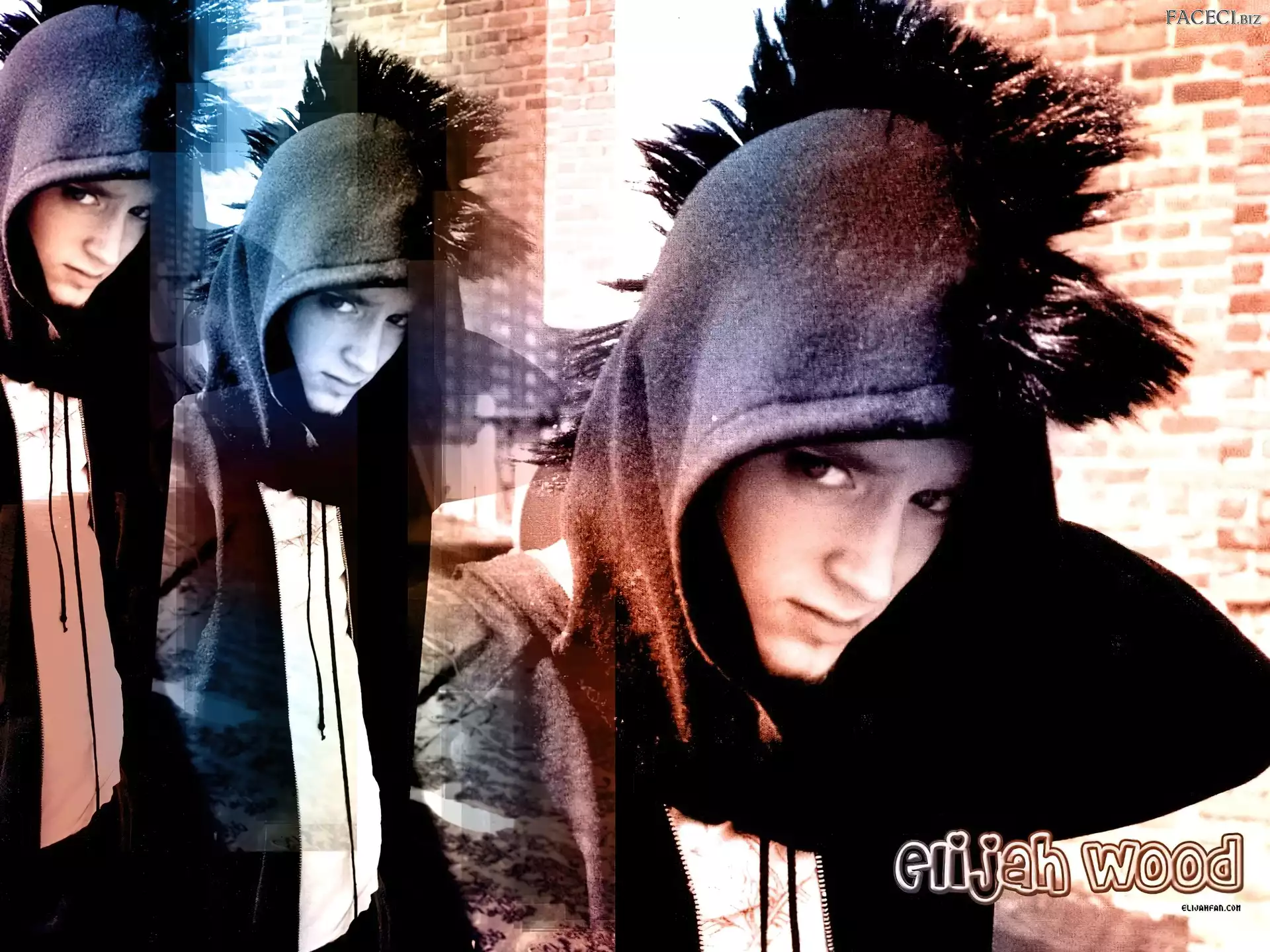 bluza, Elijah Wood, kaptur