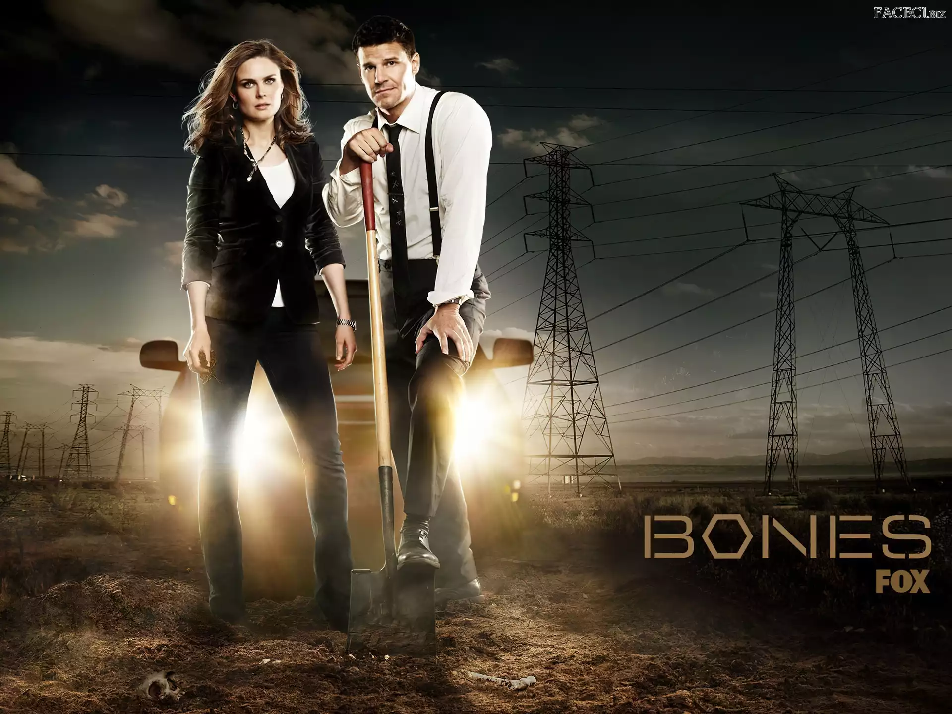 David Boreanaz, Emily Deschanel, Bones, Serial, Kości